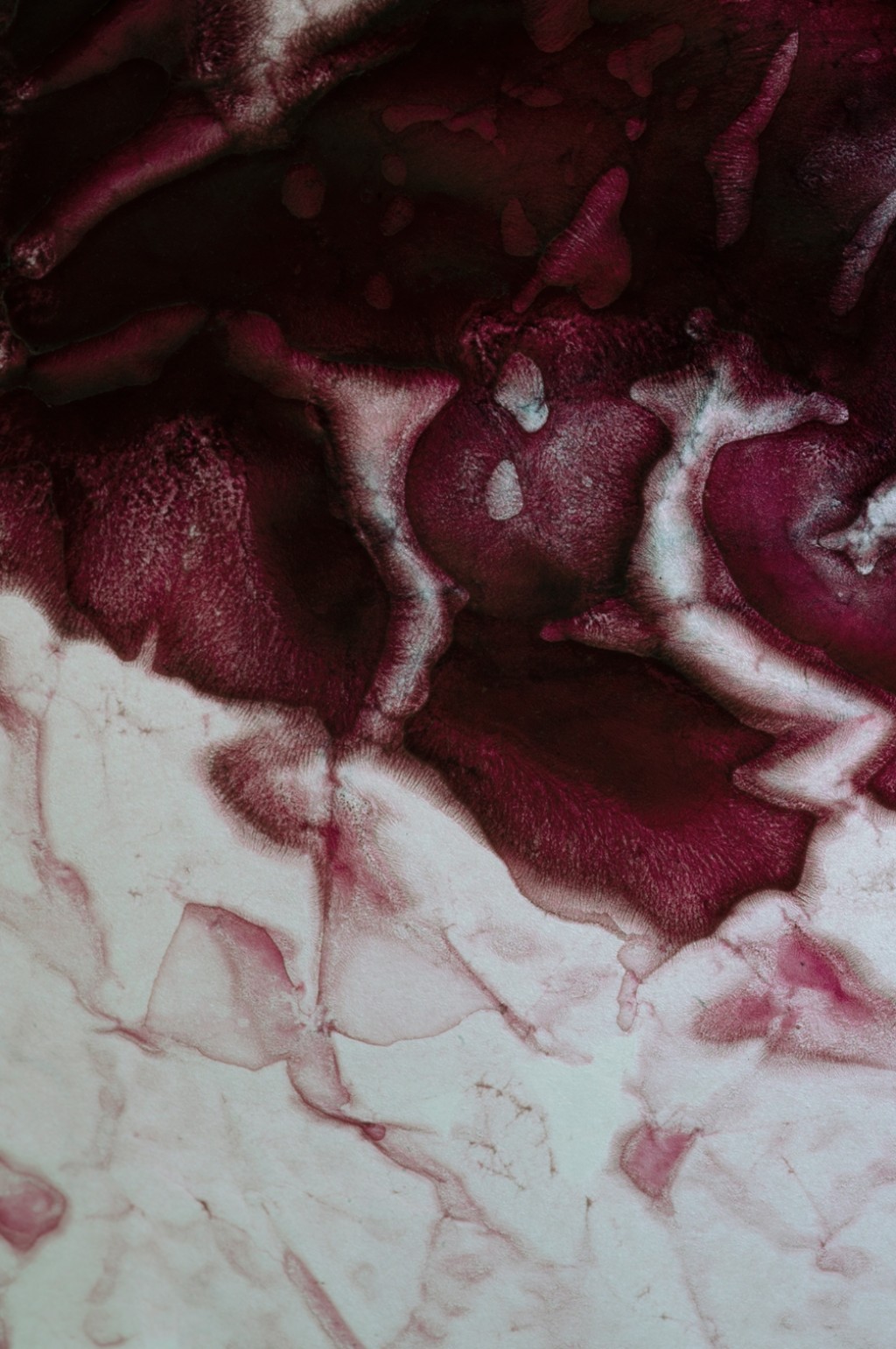 29-photography-digital-SERIE-OV