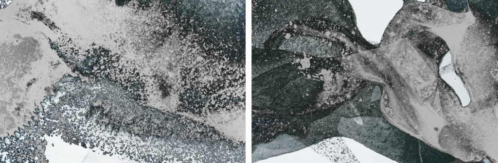 20-photography-digital-SerieBEE-Diptyque-1